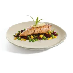 Arcoroc Assiette plate 25,4 cm Rocaleo Sable><noscript><img width=